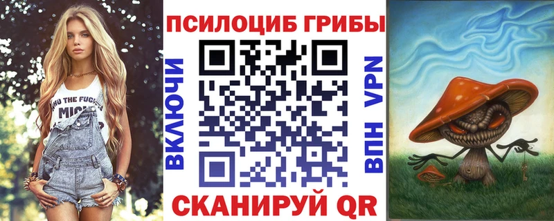 магазин продажи   Шарыпово  Галлюциногенные грибы Psilocybe 